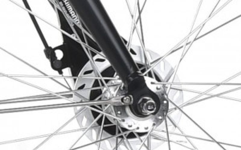 <p>De betrouwbare handremmen (rollerbrakes) zorgen ervoor dat je snel en veilig kan stoppen in het (drukke) verkeer.</p>
