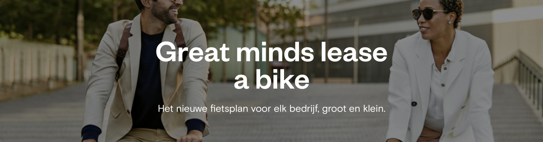 Fiestenwinkel Harry
